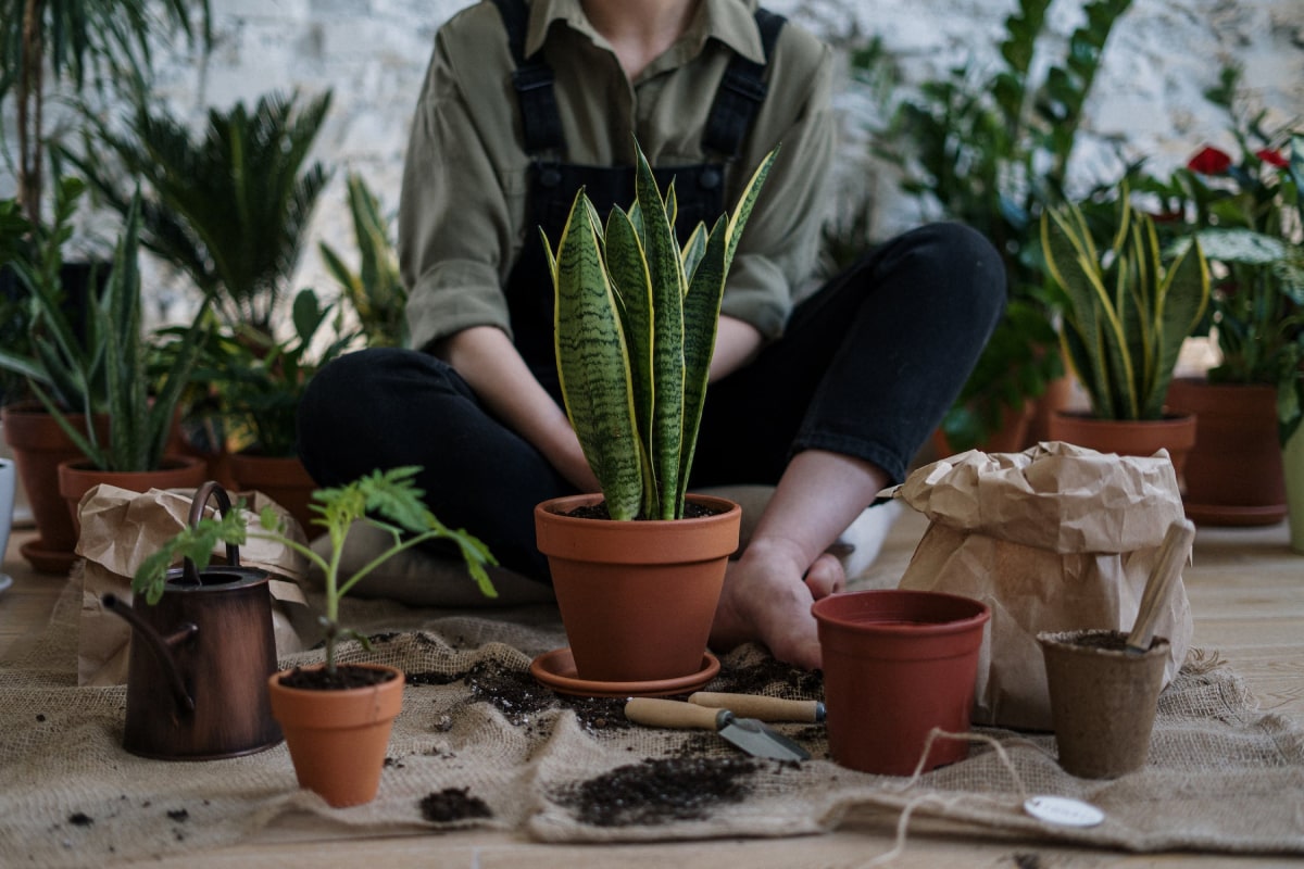 Top 10 Tips and Tricks To Beat the Winter Blues