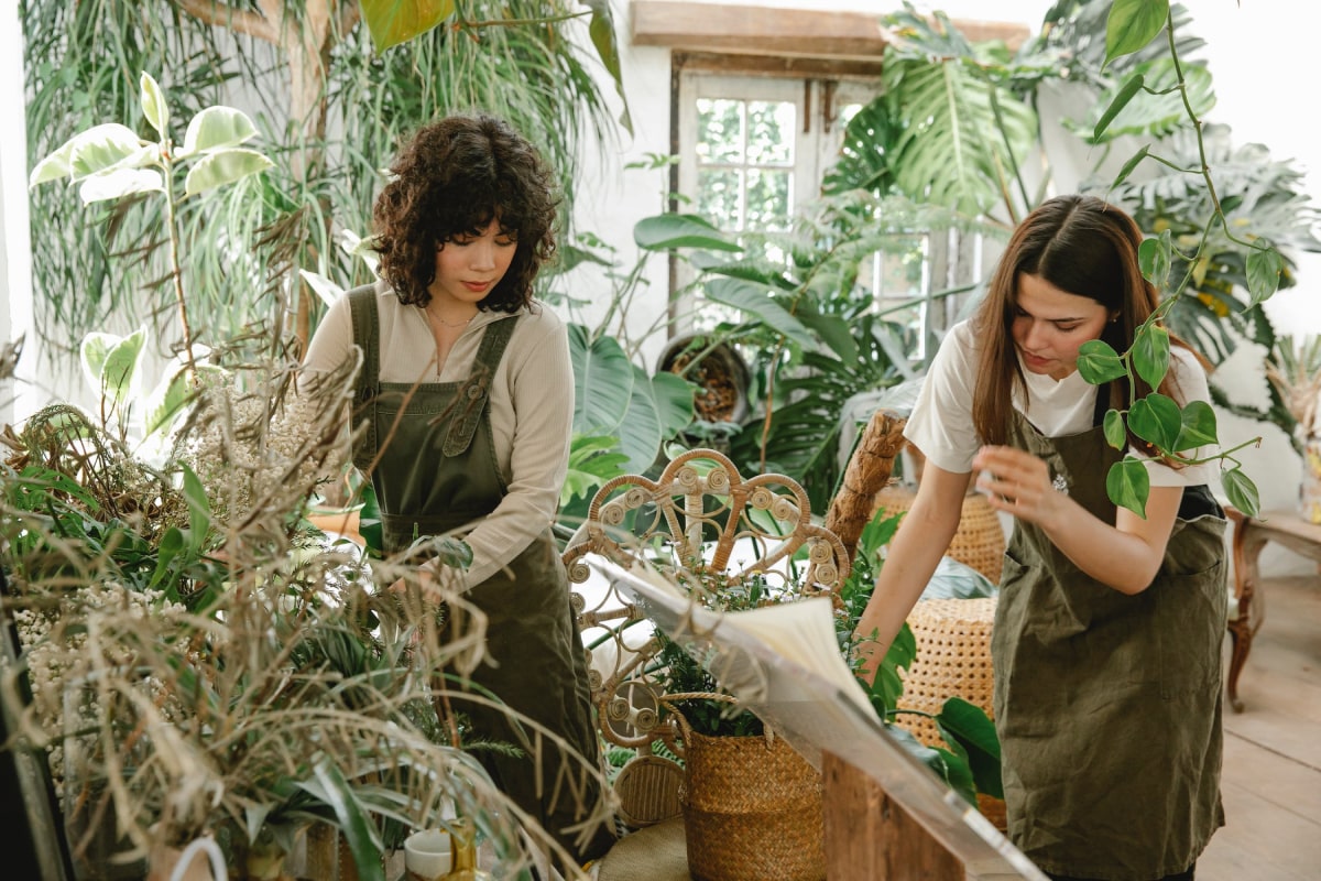 The benefits of houseplants