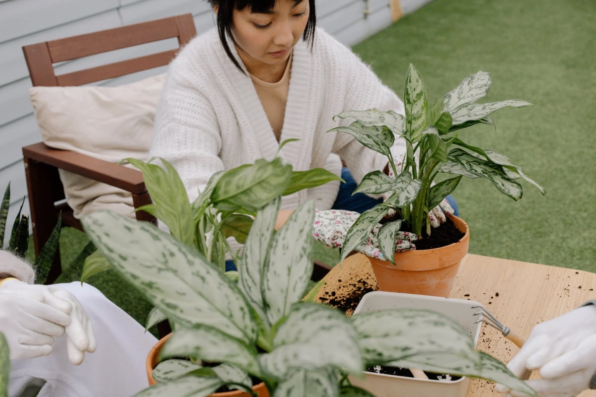 What is biophilic design?