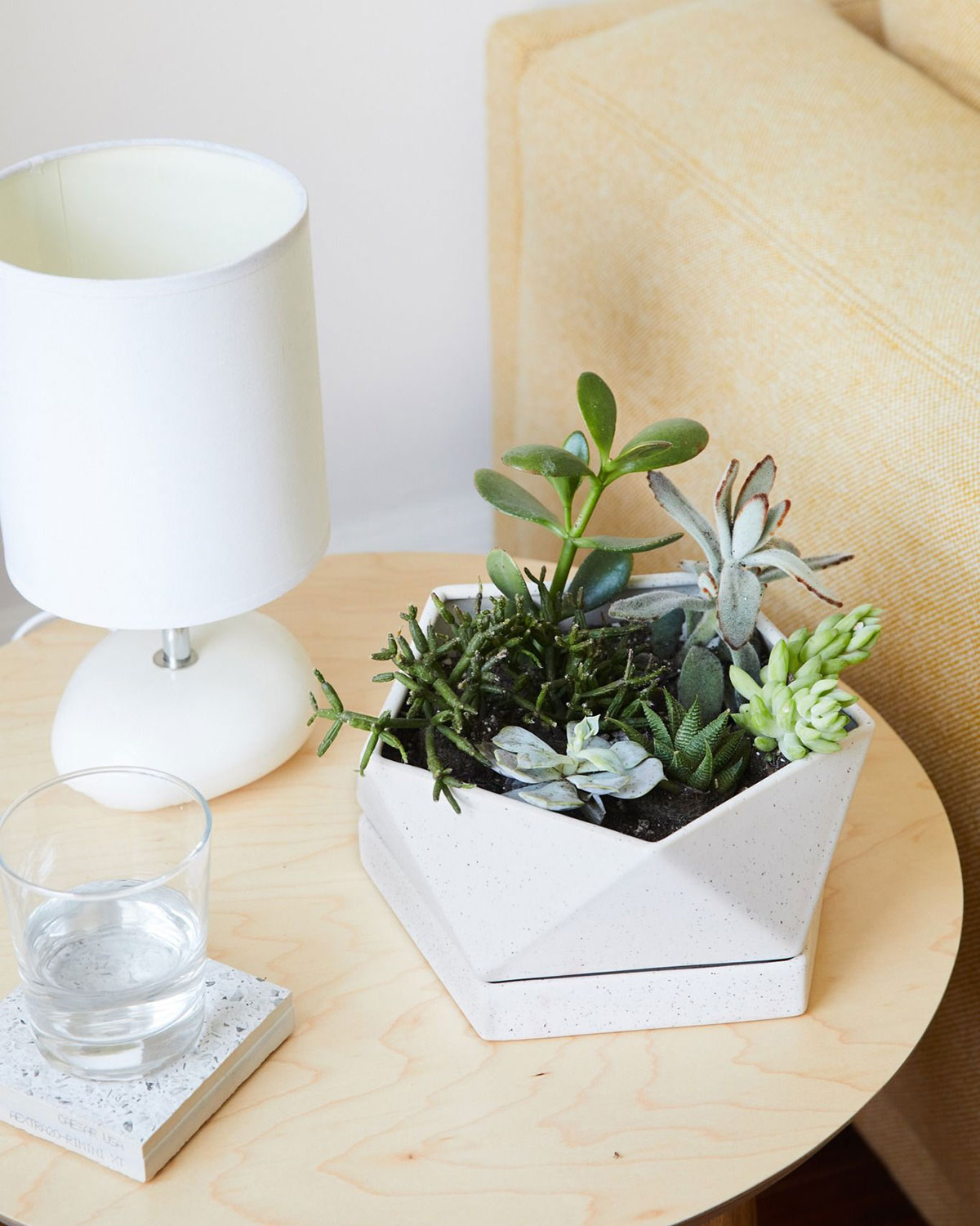 What is biophilic design?